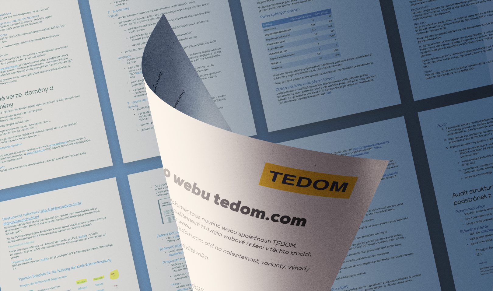 TEDOM - audit webu